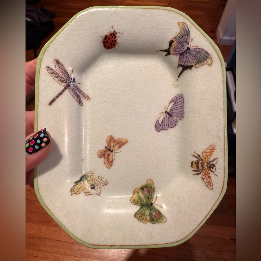Anthropologie Butterfly and Insect Plate with Green Trim. See pics for dime - Picture 2 of 4